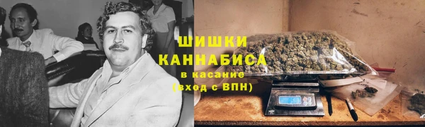 ПСИЛОЦИБИНОВЫЕ ГРИБЫ Арсеньев