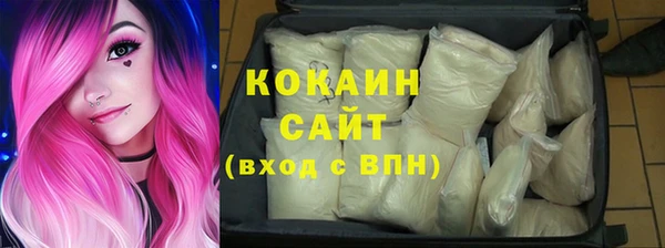 ПСИЛОЦИБИНОВЫЕ ГРИБЫ Арсеньев