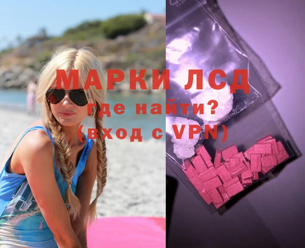 ПСИЛОЦИБИНОВЫЕ ГРИБЫ Арсеньев