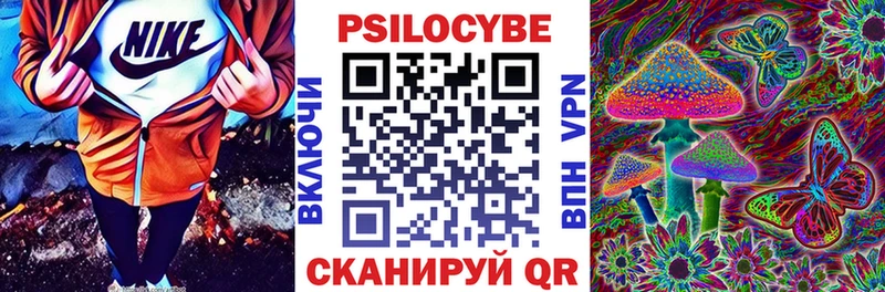 Псилоцибиновые грибы Psilocybine cubensis  гидра ссылка  Реж 